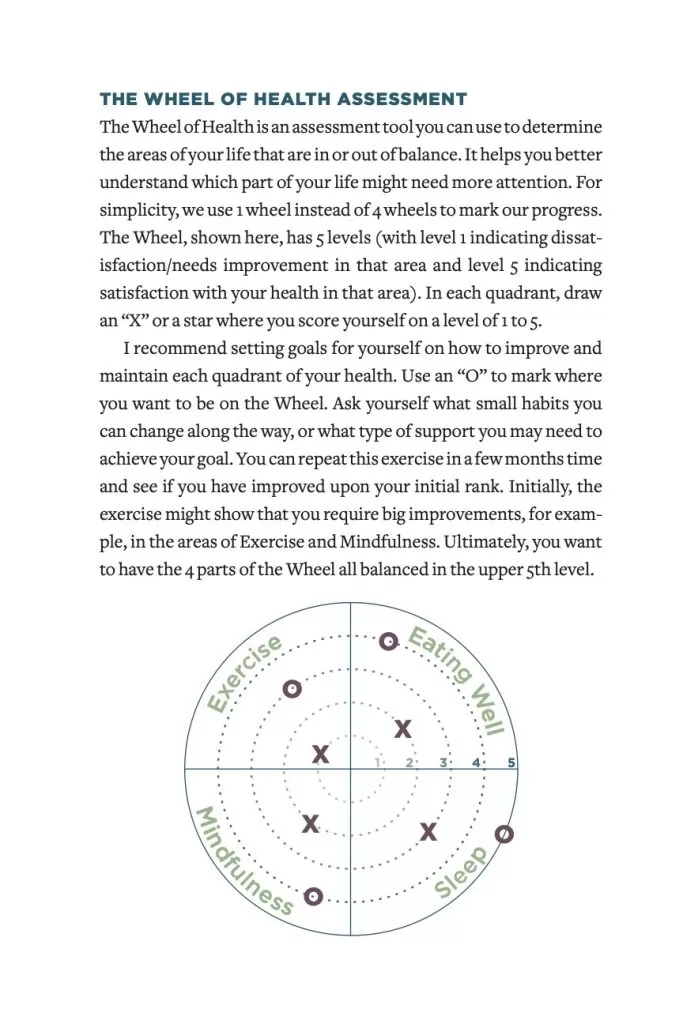 Wheel of Health Assessment Diagram